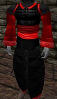 Plated Amuli Coat (Red)