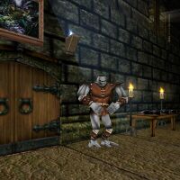 Lugian Bouncer