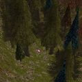 Thumbnail for version as of 13:14, 15 August 2026
