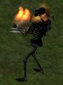 Thumbnail for version as of 13:13, 15 August 2026
