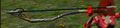 Thumbnail for version as of 13:08, 15 August 2026