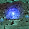 Thumbnail for version as of 13:08, 15 August 2026