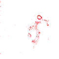 Thumbnail for version as of 13:03, 15 August 2026