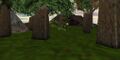 Thumbnail for version as of 13:16, 15 August 2026