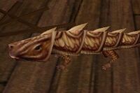 Pet Armoredillo Pup.