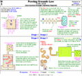 Thumbnail for version as of 13:17, 15 August 2026