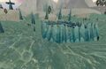 Thumbnail for version as of 13:27, 15 August 2026