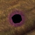 Thumbnail for version as of 13:12, 15 August 2026